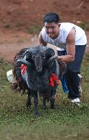 Traditional Torch Festival Of Yi Ethnic Group - China