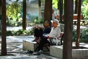 Daily Life in Fuyang