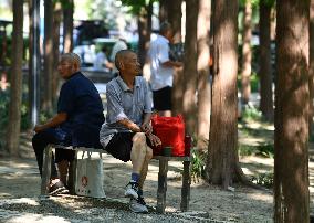 Daily Life in Fuyang