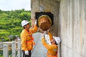 CHINA-ZHEJIANG-TYPHOON-RAILWAY INSPECTION (CN)