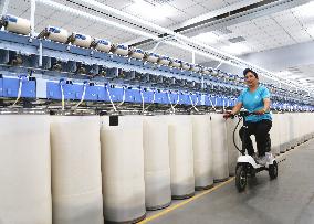 Cotton Textile Industry in Xinjiang