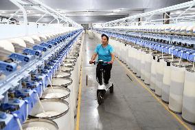 Cotton Textile Industry in Xinjiang