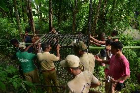 India Wildlife