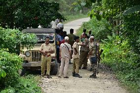 India Wildlife