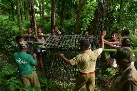 India Wildlife