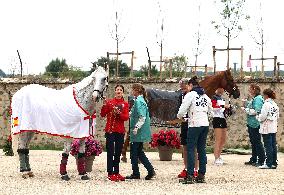 (PARIS2024)FRANCE-PARIS-EQUESTRIAN-TRAINING