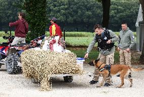 Paris 2024 - Equestrian Training Session