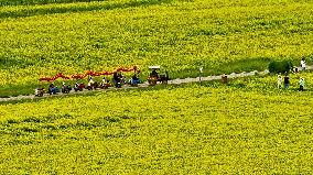 Rapeseed Flowers Tour in Zhangye