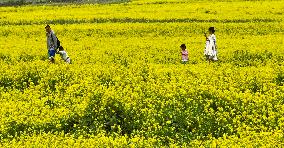 Rapeseed Flowers Tour in Zhangye