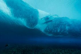 Paris 2024 - Surfing Training in Teahupo'o