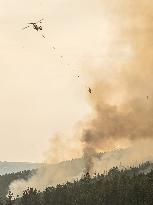 Canadian Wildfires Prompt More Evacuation Orders - British Columbia
