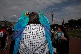 Pro-Palestinian Protest Over Netanyahu's Visit In USA