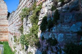 T?RKIYE-ISTANBUL-ANCIENT WALLS