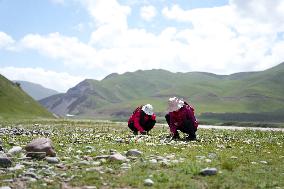 (EyesOnSci)CHINA-QINGHAI-RIVER HEADWATERS-SCIENTIFIC EXPEDITION (CN)