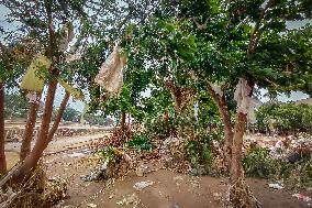 Typhoon Gaemi Aftermath In The Philippines