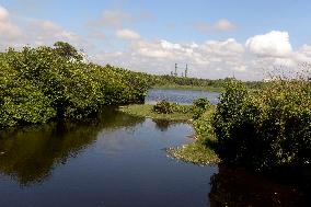 SRI LANKA-MANGROVES-WETLANDS