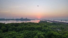 INDONESIA-BANTEN-MANGROVE FOREST-PROTECTION