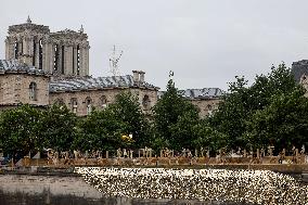 (PARIS2024) FRANCE-PARIS-OLY-OPENING CEREMONY