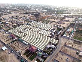 KUWAIT-AHMADI GOVERNORATE-GREENHOUSE