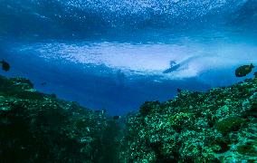 Paris 2024 - Surfing Training Session