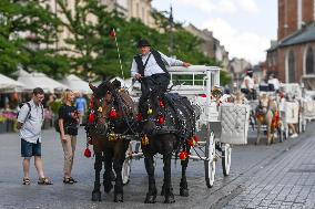 Discovering Daily Life In UNESCO Krakow