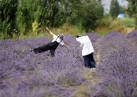 CHINA-XINJIANG-HUOCHENG-LAVENDER-INDUSTRY (CN)