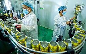 An Agricultural Beverage Production Line in Zhangye