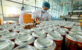 An Agricultural Beverage Production Line in Zhangye