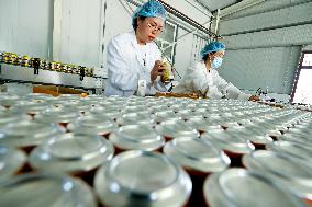 An Agricultural Beverage Production Line in Zhangye