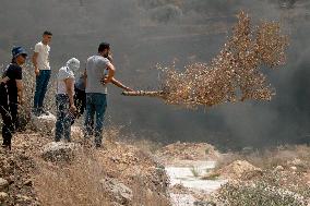 Palestinians Weekly Protests Against Israeli Settlements