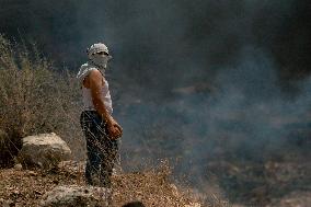 Palestinians Weekly Protests Against Israeli Settlements