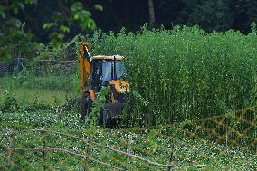 India Wildlife