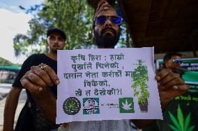 Nepali Activists Demonstrate Demanding Legalization Of Weeds