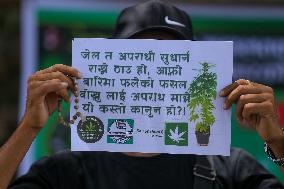 Nepali Activists Demonstrate Demanding Legalization Of Weeds