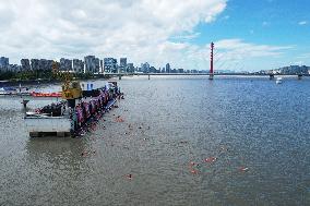 Swimmers Swim Across The Qiantang River in Hangzhou