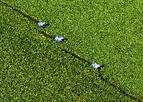 A Planting Base in Huai 'an