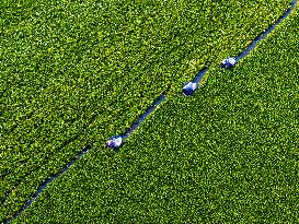 A Planting Base in Huai 'an