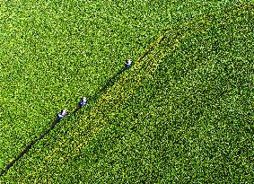 A Planting Base in Huai 'an