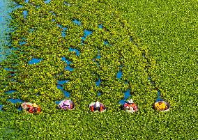 A Planting Base in Huai 'an