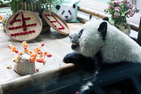 CHINA-QINGHAI-XINING-GIANT PANDAS-BIRTHDAY CELEBRATION (CN)