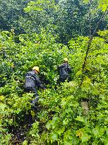 CHINA-LIAONING-TORRENTIAL RAIN (CN)