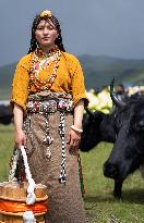 (SichuanMosaics)CHINA-SICHUAN-GARZE-RURAL FOLK EVENT (CN)