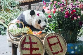 CHINA-QINGHAI-XINING-GIANT PANDAS-BIRTHDAY CELEBRATION (CN)