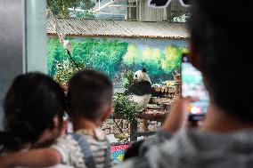 CHINA-QINGHAI-XINING-GIANT PANDAS-BIRTHDAY CELEBRATION (CN)