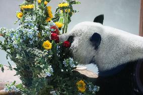 CHINA-QINGHAI-XINING-GIANT PANDAS-BIRTHDAY CELEBRATION (CN)