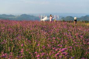 CHINA-GUIZHOU-LONGLI-SUMMER-TOURISM (CN)