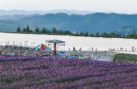 CHINA-GUIZHOU-LONGLI-SUMMER-TOURISM (CN)