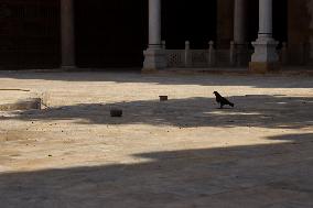 The Mosque Of Amir Altinbugha Al-Maridani