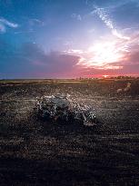 Combine Fire Consumes Wheat Harvest