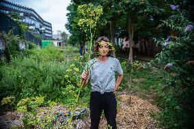 Paris Gets Greener For The Olympics